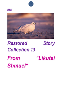 תמונה ממוזערת של likutei shmuel - Stories